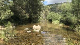 Farm Property for Sale - Lot 1 Razorback Creek Road Rivertree NSW 2372