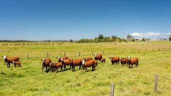 Farm Property for Sale - Lot 62 Macleay Valley Way Kempsey NSW 2440