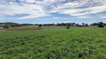 Farm Property for Sale - 317 Bald Hill Road Goolma NSW 2852