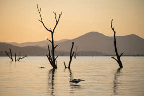 Farm Property for Sale - 1074 Table Top Road Table Top NSW 2640