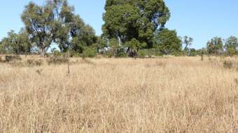 Farm Property for Sale -  GRUIDAE Mitchell QLD 4465