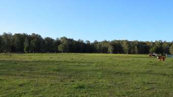 Farm Property for Sale - 653 Maria River Road Crescent Head NSW 2440