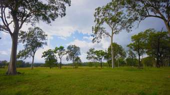 Farm Property for Sale - 1029 Seaham Road &amp;apos;Brandon Grove&amp;apos; Seaham NSW 2324