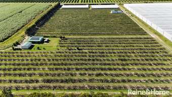 Farm Property for Sale - 135 Newlands Road North Gregory QLD 4660