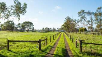 Farm Property for Sale - 45 Triggs Road Bungador VIC 3260