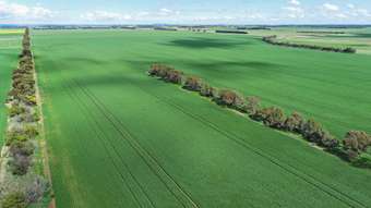 Farm Property for Sale -  Potters Road Cressy VIC 3322