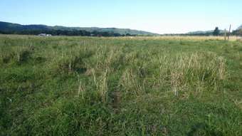 Farm Property for Sale - South Innisfail QLD 4860