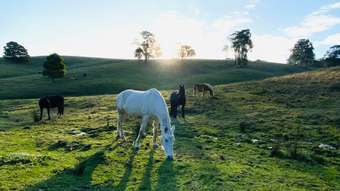 Farm Property for Sale - 478 Mizpah Settlement Road Buln Buln East VIC 3821