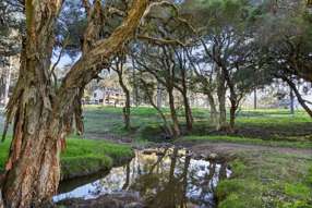 Farm Property for Sale - 731 Glen William Road Glen William NSW 2321