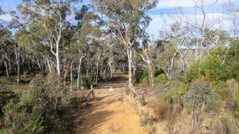 Farm Property for Sale - 80 Creek Close Oallen NSW 2622