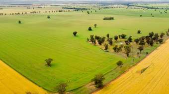 Farm Property for Sale -  Cullivel Road Urana NSW 2645