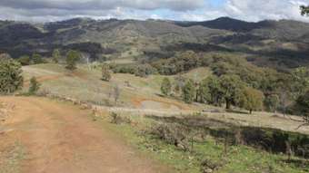 Farm Property for Sale - 4927 Halls Creek Road Tamworth NSW 2340