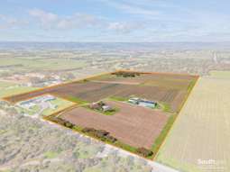 176 Seaview Road Mclaren Vale SA 5171