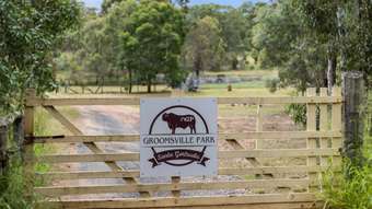 Farm Property for Sale - 139 Groomsville Road Groomsville QLD 4352