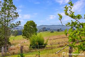 165 Lagoon Pocket Road Lagoon Pocket QLD 4570