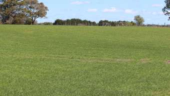 Farm Property for Sale -  Saleyard Road Inverleigh VIC 3321