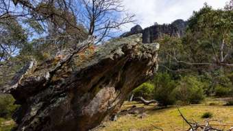 Farm Property for Sale - 8376 Grampians Road Dunkeld VIC 3294