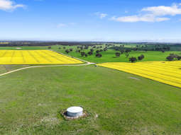 Farm Property for Sale - 559 Old Stone Tank Road Mundulla SA 5270