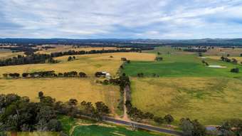 Farm Property for Sale - 436 Spring Creek Road Gulgong NSW 2852