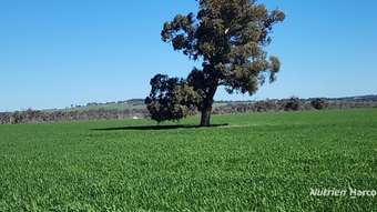 Farm Property for Sale - . Mattingly Road Brookton WA 6306