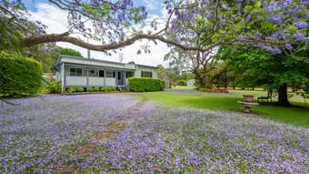 Farm Property for Sale - 1152 Wooli Road Pillar Valley NSW 2462