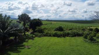 Farm Property for Sale -  Wieland Street South Johnstone QLD 4859