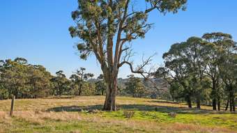 Farm Property for Sale - 277 Barrys Road Barongarook West VIC 3249