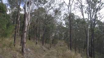 Farm Property for Sale -  Stegemann Road Upper Glastonbury QLD 4570