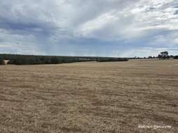 "Bloomvale Bloomfields Road Scotts Brook WA 6244