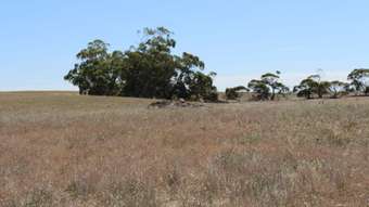 Farm Property for Sale - Proposed A Barney Road Netherton SA 5301