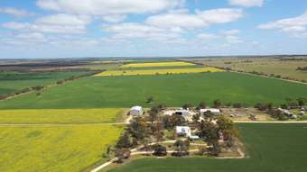 Farm Property for Sale - 1153 Moorlands Road Wynarka SA 5306