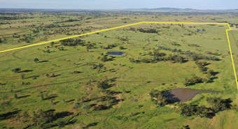 Roma QLD 4455