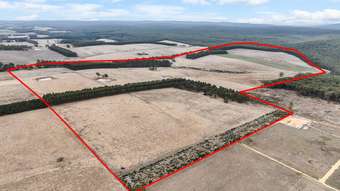Farm Property for Sale -  Flannagans Road Irrewillipe East VIC 3249