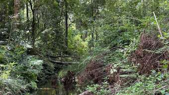 Farm Property for Sale - Comara NSW 2440