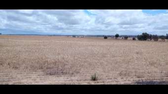 Farm Property for Sale - Lot 2627 Anderson Road Newcarlbeon WA 6475