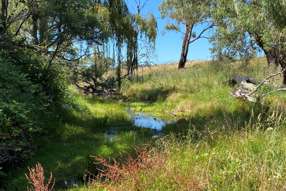  Campbells Creek Road Mudgee NSW 2850