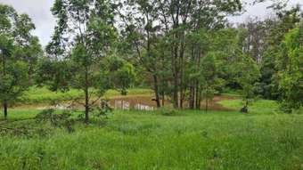 Farm Property for Sale - Neerdie QLD 4570