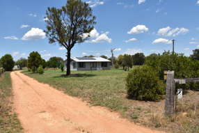 61 Frederick Rd Mendooran NSW 2842