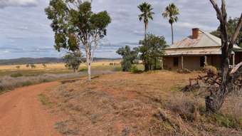Farm Property for Sale - 233 Bestwicks Lane Suntop via Wellington NSW 2820