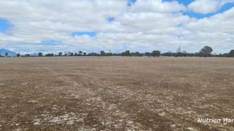 Farm Property for Sale - . Hornsey Road Borden WA 6338