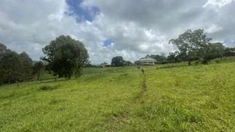Farm Property for Sale - 1391 Lismore Road Clunes NSW 2480