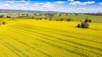Farm Property for Sale - 1791 Olympic Highway Culcairn NSW 2660