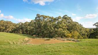 Farm Property for Sale -  Turrong Road Cooriemungle VIC 3268