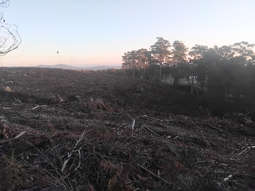 Farm Property for Sale - 1 The Den Rd Pipers River TAS 7252