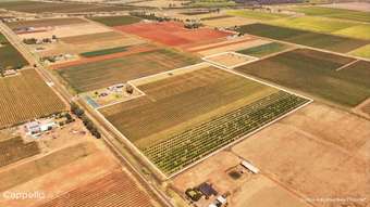 Farm Property for Sale - 139 Gribble Road Yenda NSW 2681