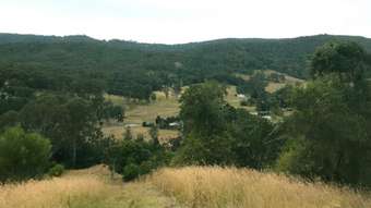 Farm Property for Sale - 2294 Nerang-Murwillumbah Road Numinbah Valley QLD 4211