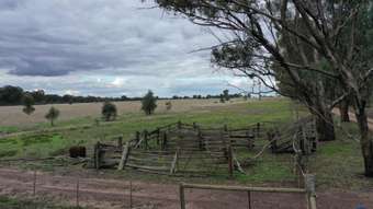 Farm Property for Sale - 250 Buffalo Swamp Road Murchison VIC 3610