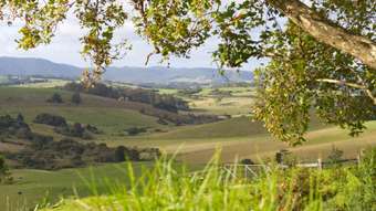 Farm Property for Sale - 746 Whisky Creek Road Dorrigo NSW 2453