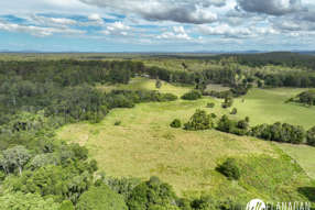 1420 Collombatti Road Collombatti NSW 2440