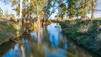 Farm Property for Sale -  Warraderry Way Canowindra NSW 2804